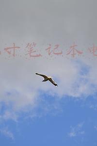 dell笔记本电脑包(电脑未到，配件先行 戴尔打造全方位配件方案)
