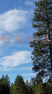 好听的钢琴曲简单(3首非常适合初学钢琴的钢琴谱，C调极简版)
