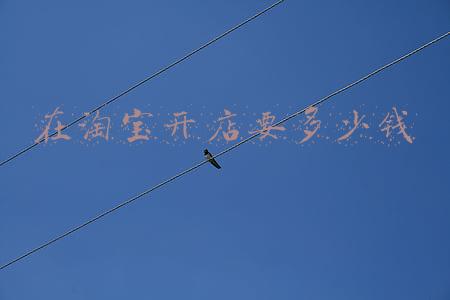 在淘宝开店要多少钱