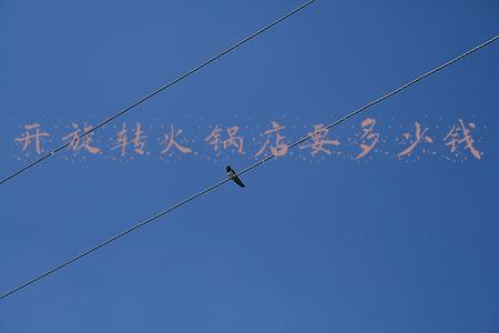 旋转火锅怎么收费(旋转火锅怎么收钱的)