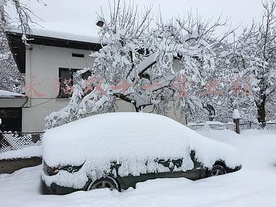 天猫双十一营业额
