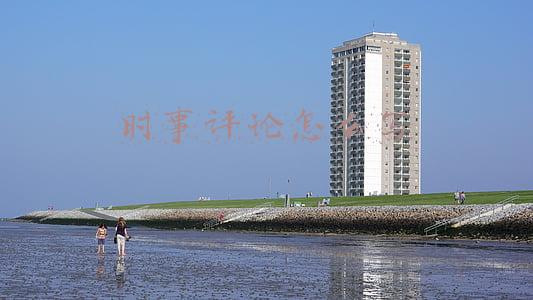 时事评论怎么写