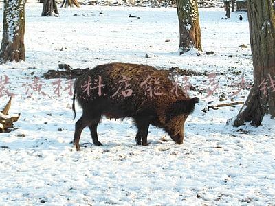 装潢材料店能挣多少钱
