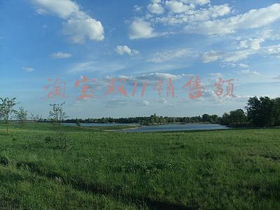 淘宝双11销售额