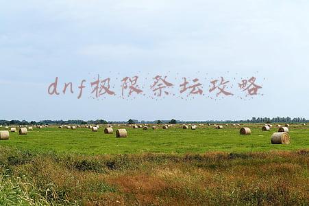 dnf极限祭坛6层简单怎么过(DNF：回归玩家玩转增幅11，这些方法技巧请查收)