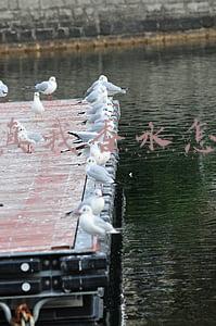 迪奥真我香水香型(香水包装上的标记 别再傻傻分不清)