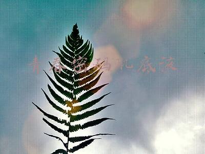 青春密码肌底液真伪(收到这条短信要删掉！没有这个标志的全是钓鱼网站)