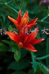 十大品牌指纹锁有哪些(2020十大指纹锁品牌TOP排行榜，安全系数增10倍)