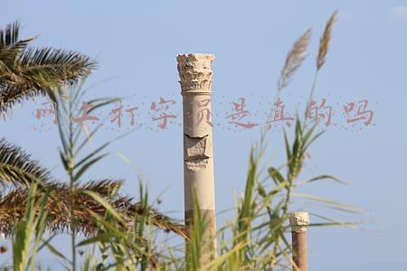 网上打字员是真的吗