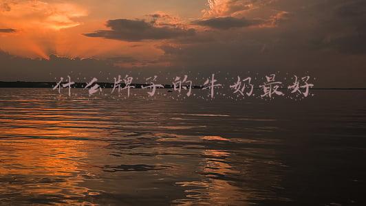 什么牌子的牛奶最好