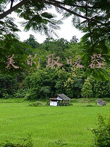 美的取暖器