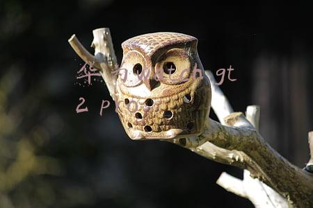 华为watch gt2 pro