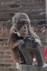 微信朋友圈怎么转发