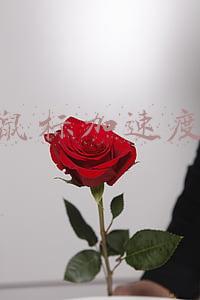 鼠标加速度要不要开(会影响你游戏操作的鼠标设置：“提高指针精确度”)