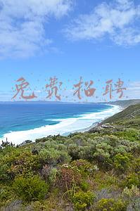 免费招聘的平台(多平台，全免费！节后招人看这里→)