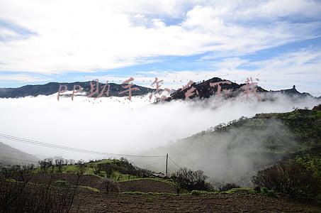pp助手怎么下载