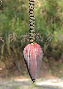 成功案例分析