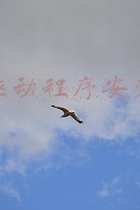 驱动程序安装