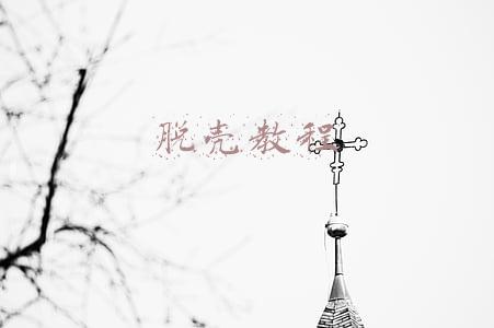 脱壳教程