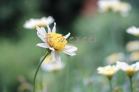 开方excel