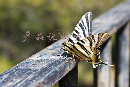 产品说明书范文500字(私有化部署的企业级在线文档产品说明书，请查收)