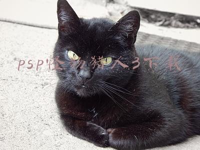 怪物猎人3g下载 psp(怪物猎人全系列回顾，回忆我的猛汉养成路)