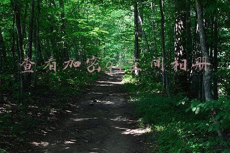 查看加密qq空间(想看男朋友加密QQ空间 女子找人解密被骗800元)