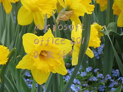 microsoftoffice2010激活失败(Office2010安装激活教学)