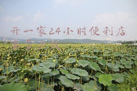 想开24小时便利店(24小时便利店怎么开)