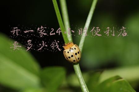 开24小时便利店流程 24小时便利店怎么开