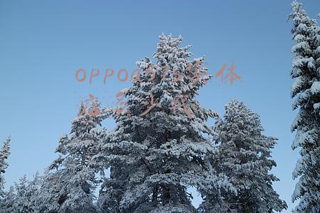oppoa7实体店多少钱一台（oppoa7实体店多少钱）