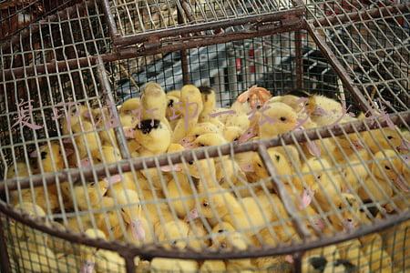 打印复印店宣传单，复印店广告宣传图片