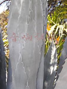 音响调试软件(DiLink 4.0体验：车机流畅美观 丹拿音响烧友狂喜)