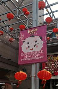 可视电子门铃