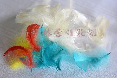 新媒体营销策划