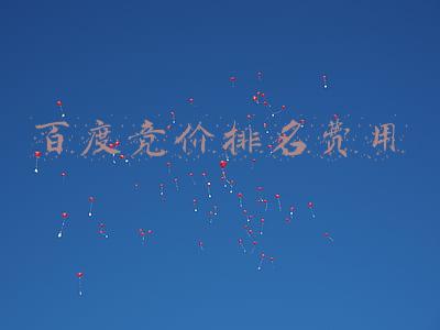 百度竞价收费(百度竞价托管一月多少钱？了解价格后不招人了，费钱还要买社保)