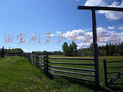 淘宝店刷等级;淘宝店刷等级靠谱么
