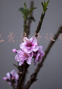 十大免费装修设计软件