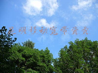 昆明移动宽带资费
