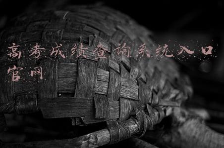 高考成绩查询系统入口官网