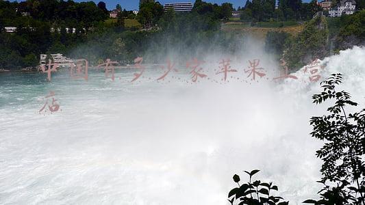中国有多少家上市公司，中国有多少家上市公司倒闭