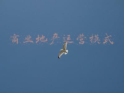 商业地产运营模式