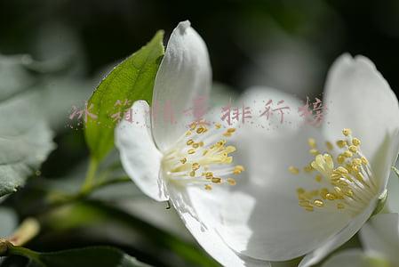 冰箱销量排行榜