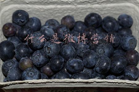 什么是微博营销推广(短视频直播时代，如何进行微博推广？)