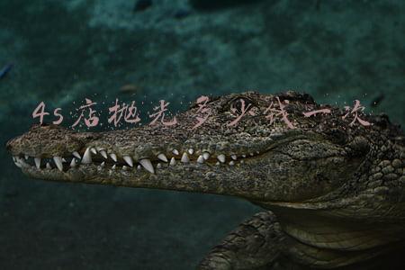 4s店抛光多少钱一次_4s店做抛光多少钱