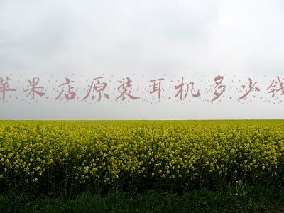 苹果13耳机原装正品多少钱_苹果13耳机原装