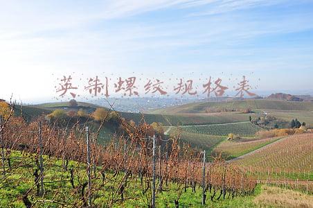 英制螺纹规格表高清图(11种螺纹规格，作为机械工程师必须懂)