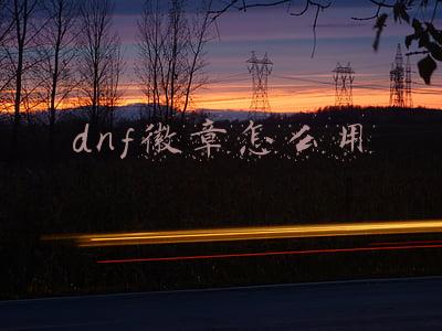 dnf徽章怎么用打哪个部位好(徽章，你戴对了吗？)