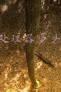i5处理器多少钱一个(酷睿12 i5-12600K处理器的电脑可以出手了吗？先看看都多少钱)