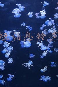 短消息铃声
